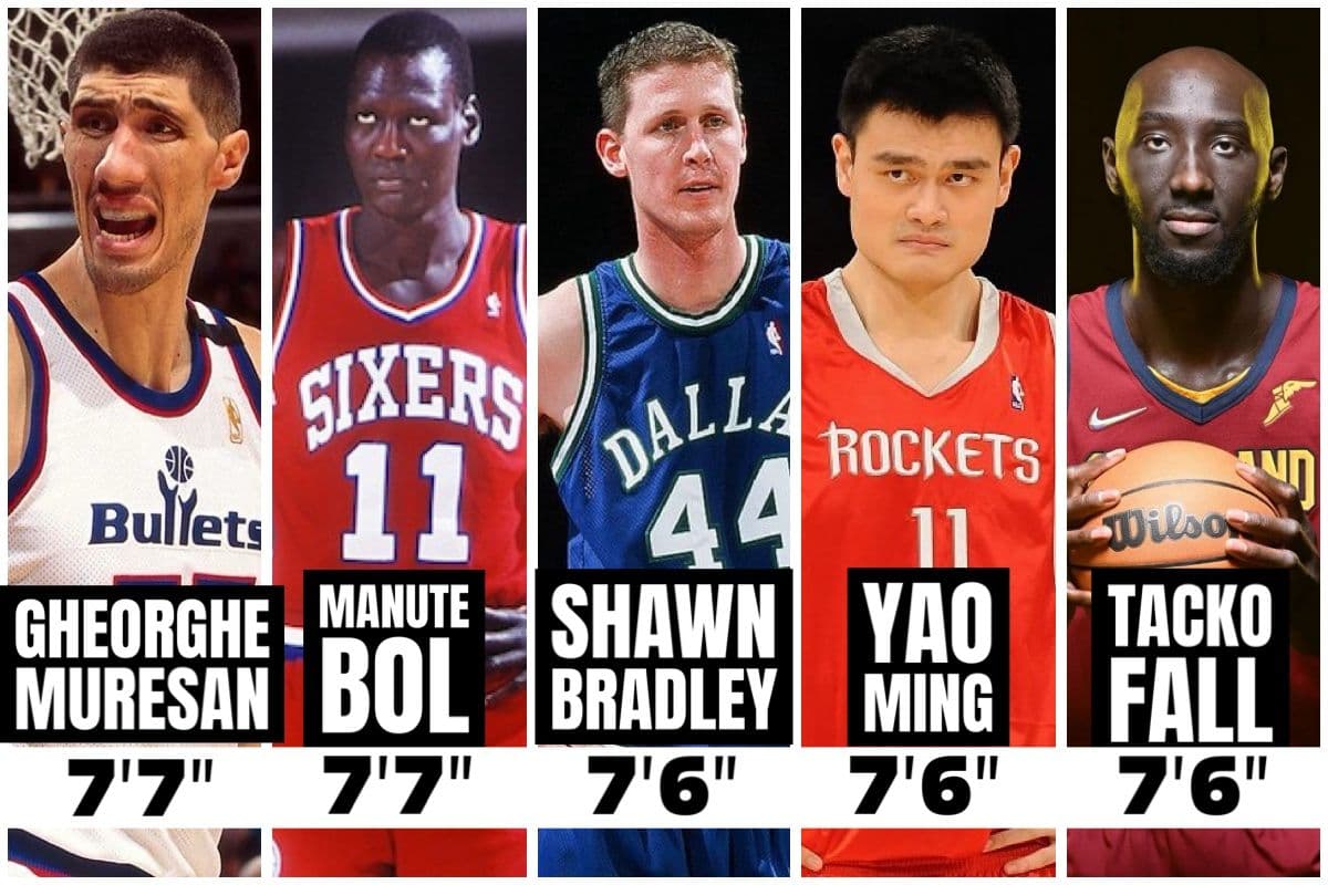 NBA's Tallest Players Through History